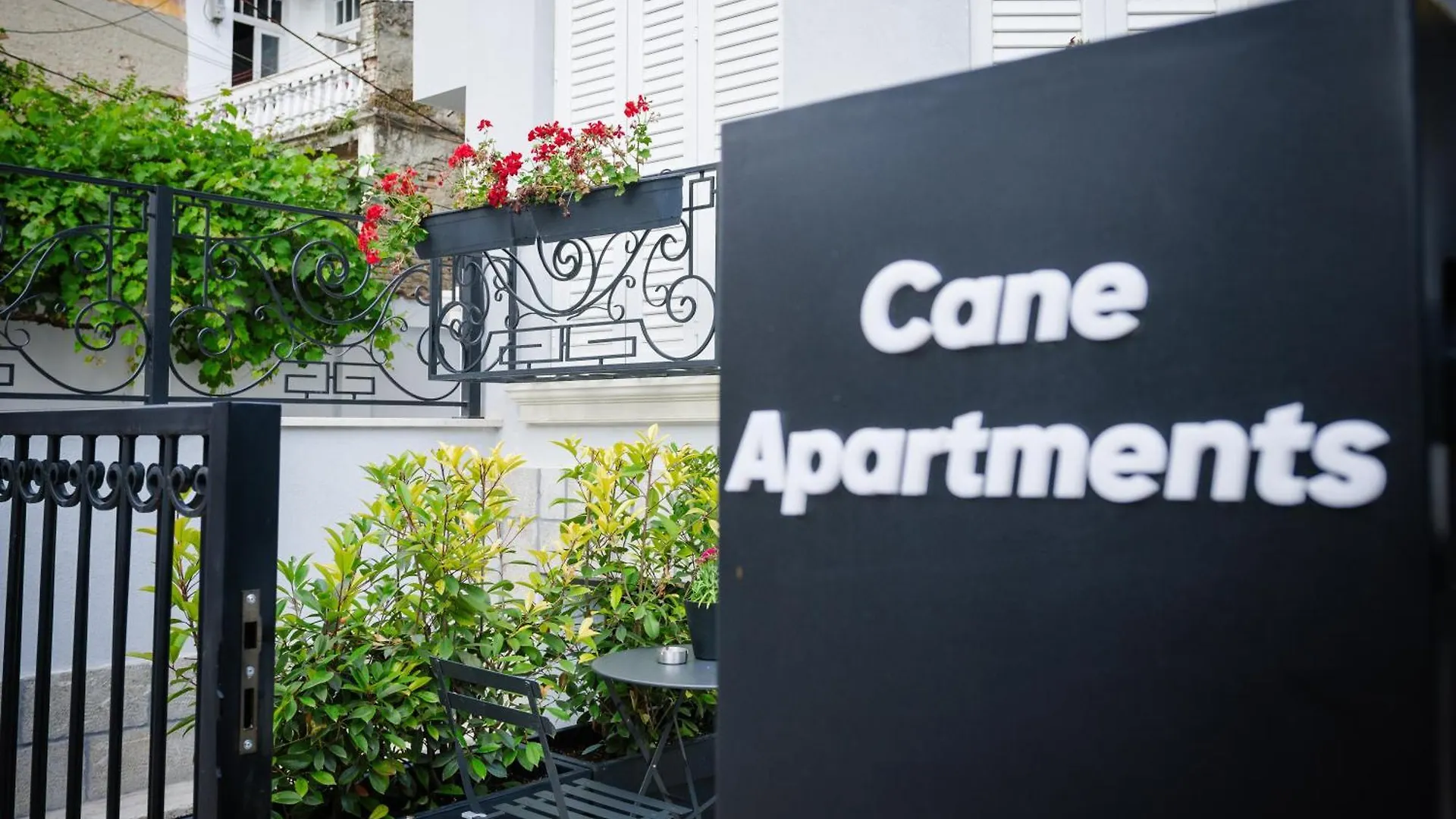 Blossom Cane Apartment Tirana Albania