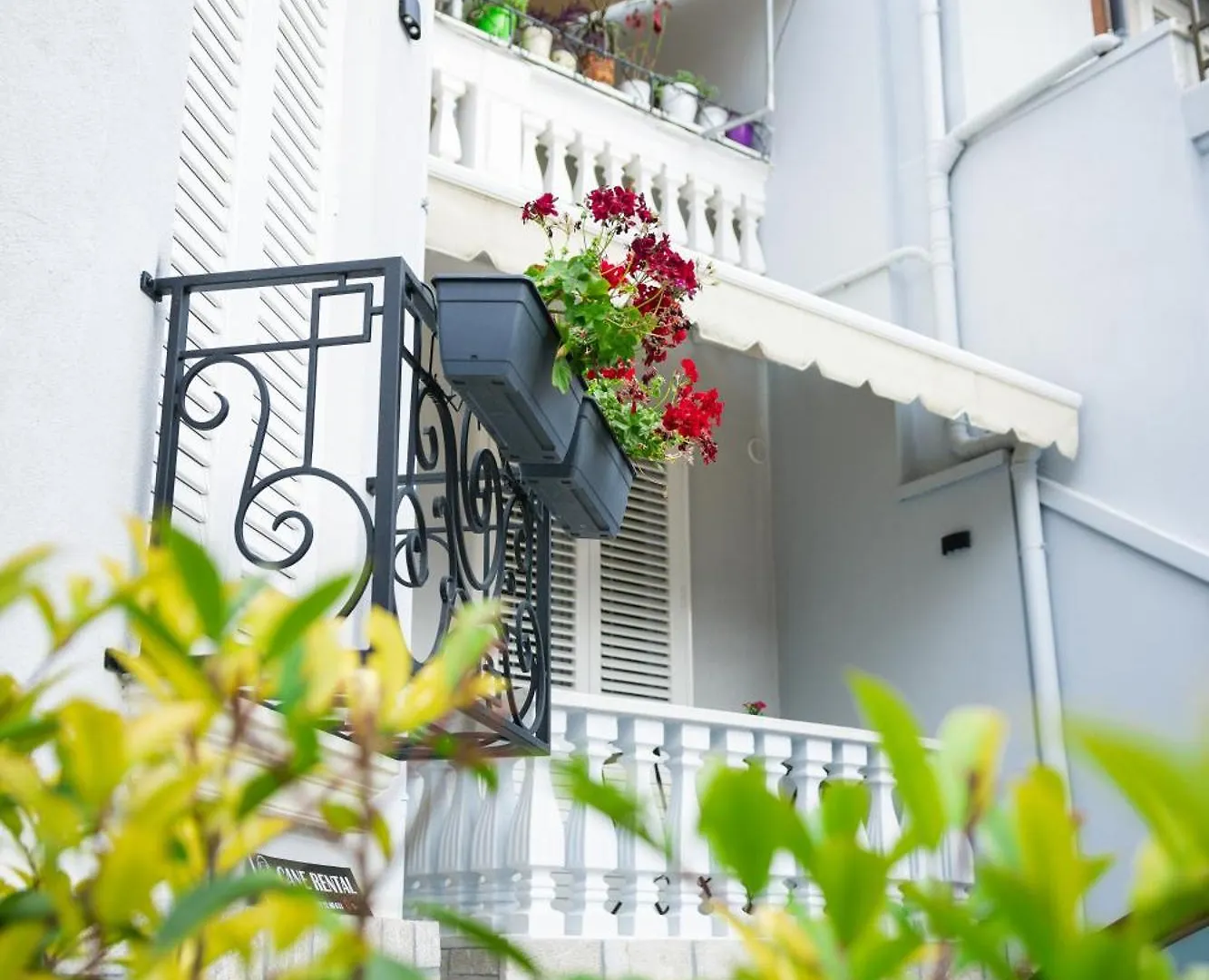 Blossom Cane Apartment Tirana